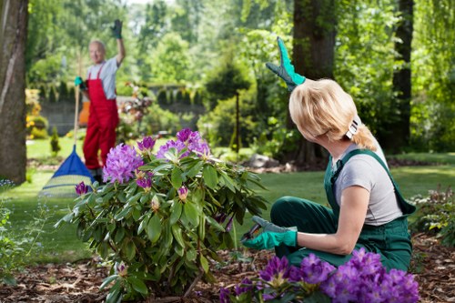 In a well-maintained residential garden, a woman in casual clothing and green gardening gloves is crouched beside a vibrant purple flowering shrub, carefully tending to the plants within a landscaped area filled with dark brown mulch. The garden features a lush green lawn, bordered by a variety of trees and shrubs, with sunlight filtering through the leafy canopy, creating a natural and inviting outdoor environment. In the background, a person in red overalls and gloves is engaged in gardening activity near a pond, which is edged with stones, surrounded by diverse greenery including bushes and small trees. The scene reflects a typical outdoor space in Notting Hill, showcasing efforts in lawn and garden care, with carefully arranged plantings and natural landscape elements suitable for professional gardening services like those offered by Lawn Mowing Notting Hill.