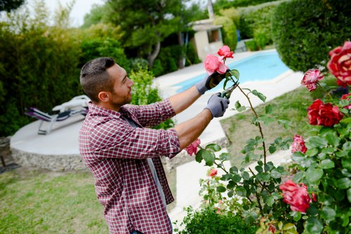 Gardener mowing a small Notting Hill front lawn