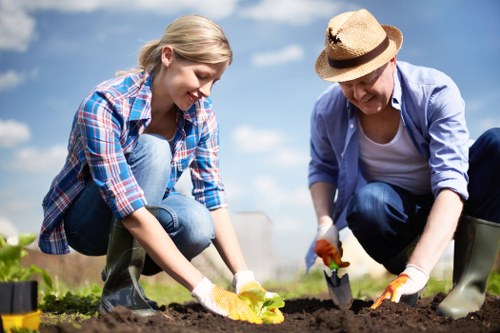 Professional tree service in Notting Hill