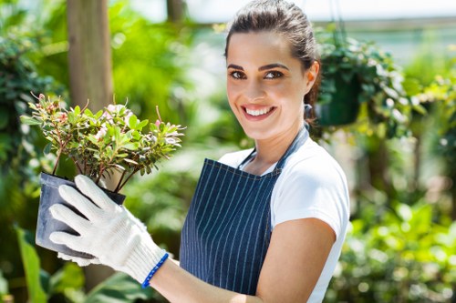 Healthy tree maintenance in urban area