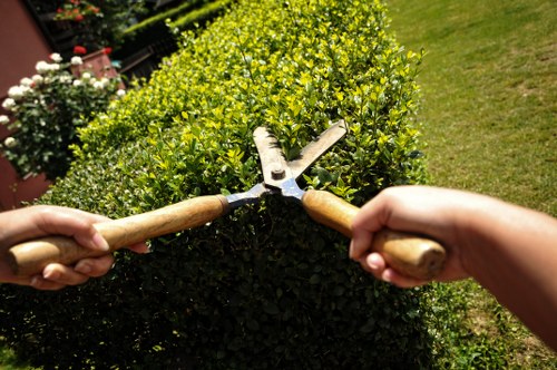 Professional garden clearance service in Notting Hill
