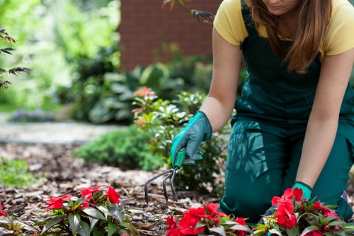 Gardener assessing a terrace garden during a free quote visit