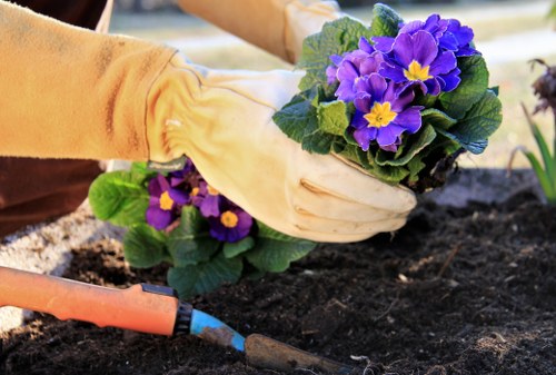 Team clearing a garden in a Notting Hill property