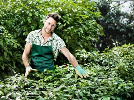 Expert team providing lawn mowing services