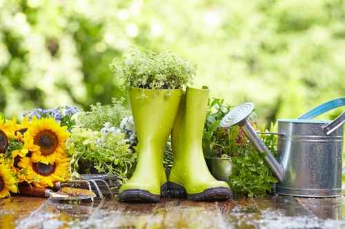 Healthy green grass being trimmed