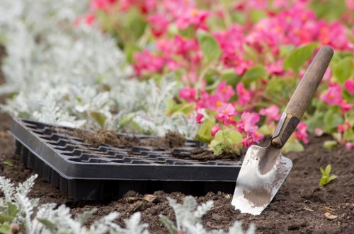 Professional lawn maintenance in action