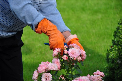 Clean and tidy garden after lawn mowing