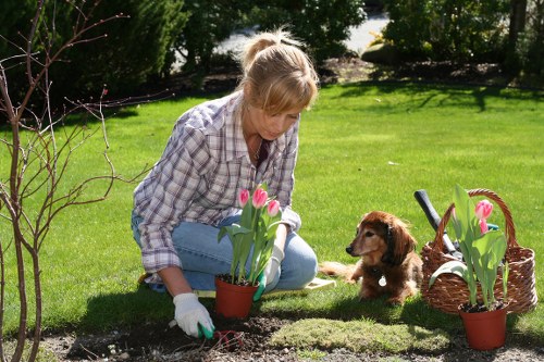Customer enjoying a cleared garden in Notting Hill